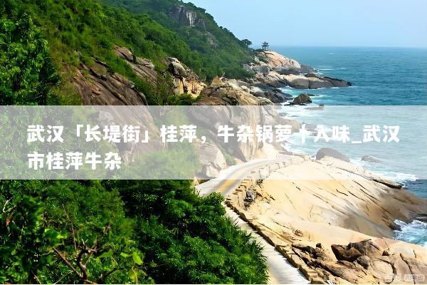 武汉「长堤街」桂萍，牛杂锅萝卜入味_武汉市桂萍牛杂