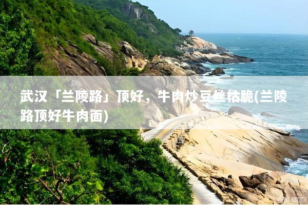 武汉「兰陵路」顶好，牛肉炒豆丝枯脆(兰陵路顶好牛肉面)