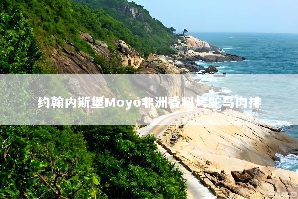约翰内斯堡Moyo非洲香料烤鸵鸟肉排