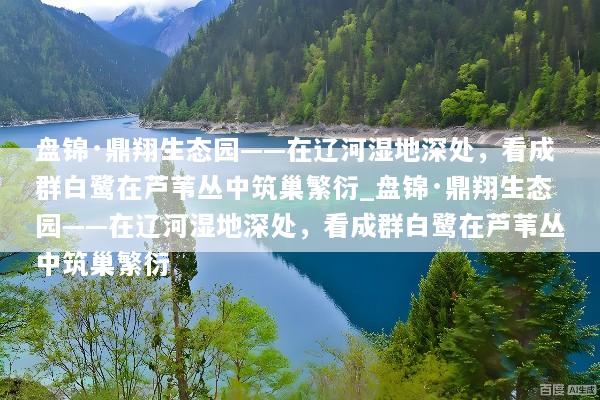 盘锦·鼎翔生态园——在辽河湿地深处，看成群白鹭在芦苇丛中筑巢繁衍_盘锦·鼎翔生态园——在辽河湿地深处，看成群白鹭在芦苇丛中筑巢繁衍