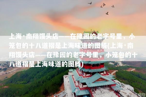 上海·南翔馒头店——在豫园的老字号里，小笼包的十八道褶是上海味道的图腾(上海·南翔馒头店——在豫园的老字号里，小笼包的十八道褶是上海味道的图腾)