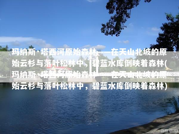 玛纳斯·塔西河原始森林——在天山北坡的原始云杉与落叶松林中，碧蓝水库倒映着森林(玛纳斯·塔西河原始森林——在天山北坡的原始云杉与落叶松林中，碧蓝水库倒映着森林)