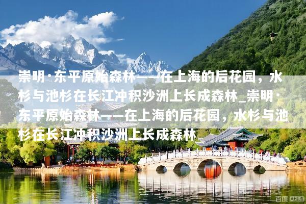 崇明·东平原始森林——在上海的后花园，水杉与池杉在长江冲积沙洲上长成森林_崇明·东平原始森林——在上海的后花园，水杉与池杉在长江冲积沙洲上长成森林