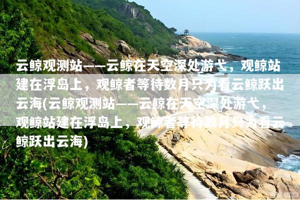 云鲸观测站——云鲸在天空深处游弋，观鲸站建在浮岛上，观鲸者等待数月只为看云鲸跃出云海(云鲸观测站——云鲸在天空深处游弋，观鲸站建在浮岛上，观鲸者等待数月只为看云鲸跃出云海)