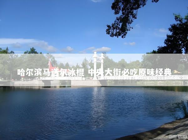 哈尔滨马迭尔冰棍 中央大街必吃原味经典