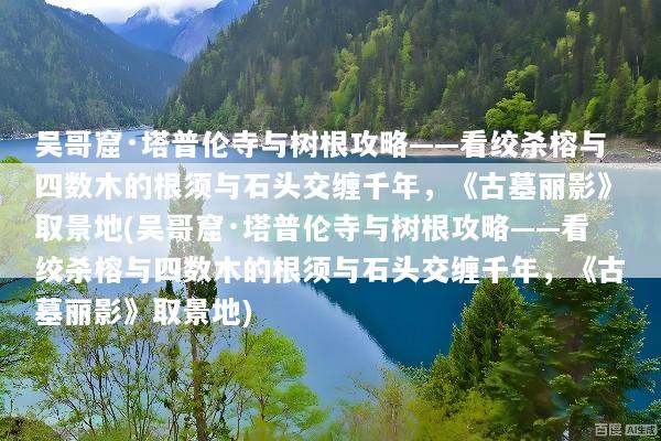 吴哥窟·塔普伦寺与树根攻略——看绞杀榕与四数木的根须与石头交缠千年，《古墓丽影》取景地(吴哥窟·塔普伦寺与树根攻略——看绞杀榕与四数木的根须与石头交缠千年，《古墓丽影》取景地)